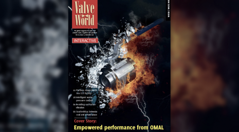 OMAL en la portada de Noviembre de Valve World Magazine
